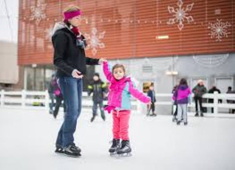 Portable Ice Skating Rink