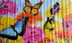 Butterfly 1684432620 7